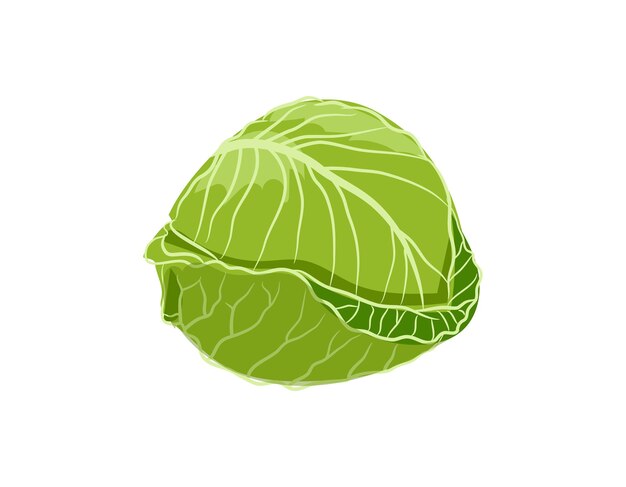 logotipo colorido de repollo símbolo de estilo de dibujos animados aislado en un fondo blanco