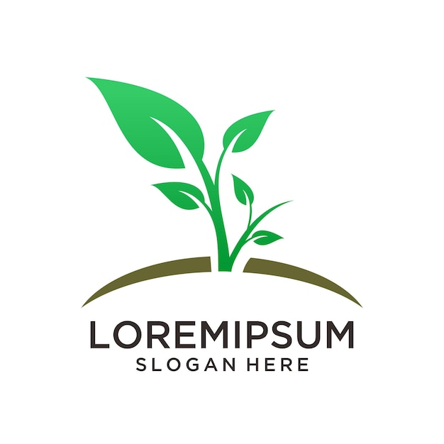 un logotipo de una compañía llamada Brava