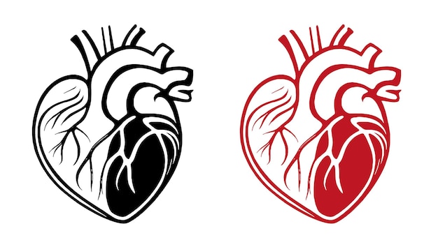 Logotipo de corazón realista Cardiología Rojo y negro