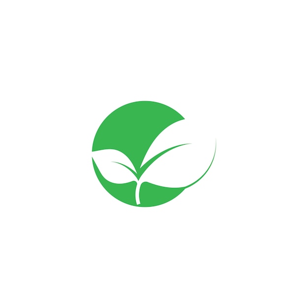 Logotipo de ecología de hoja y plantilla de vector