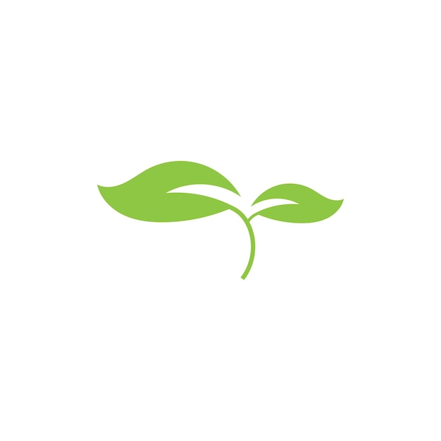 Logotipo de ecología de hoja y plantilla de vector