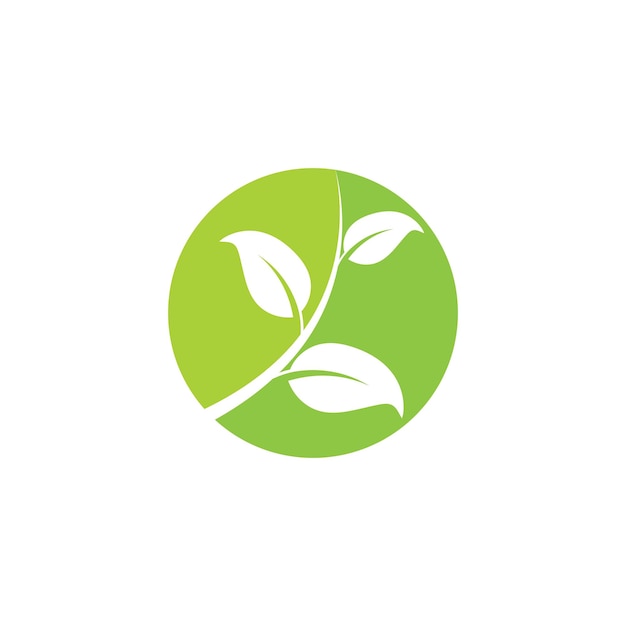 Logotipo de ecología de hoja y plantilla de vector