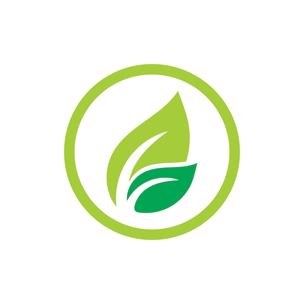 Logotipo de ecología de hoja y plantilla de vector