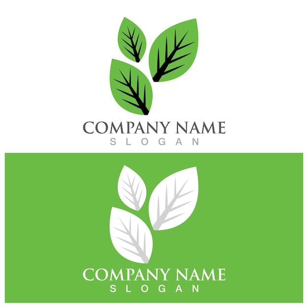 Logotipo de ecología de hoja y plantilla de vector