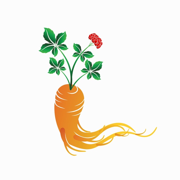 Logotipo de ginseng con concepto simple