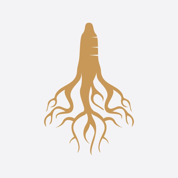 Logotipo de ginseng y plantilla vectorial