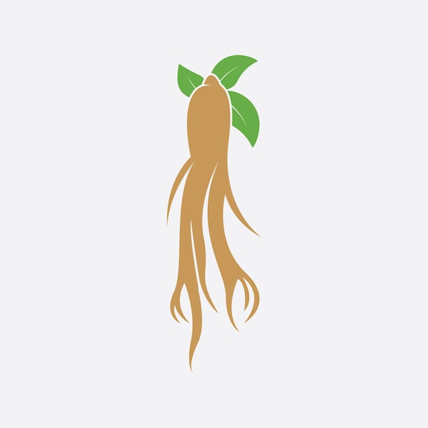 Logotipo de ginseng y plantilla vectorial