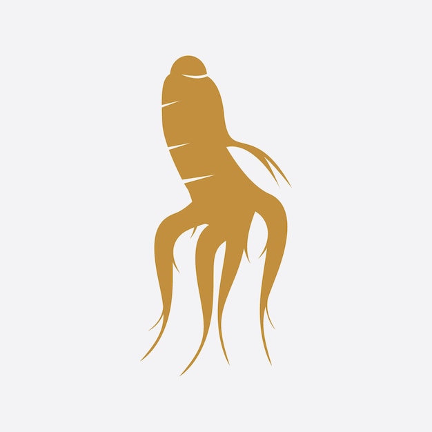 Logotipo de ginseng y plantilla vectorial