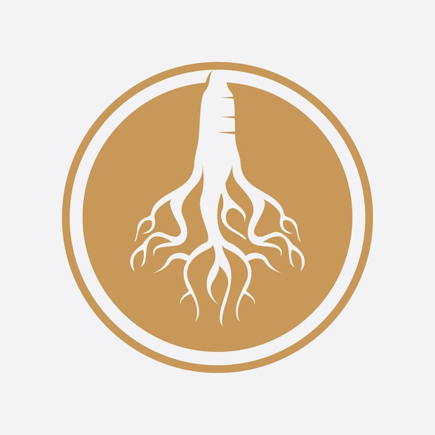 Logotipo de ginseng y plantilla vectorial