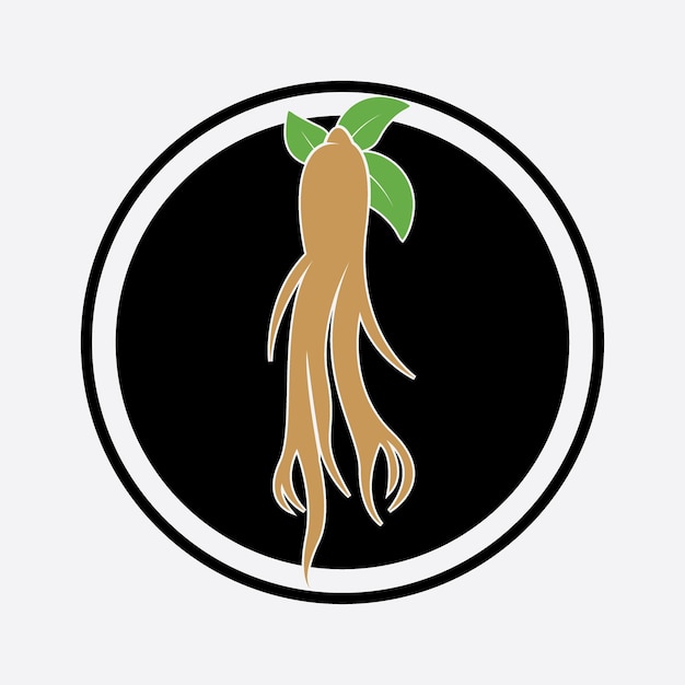 Logotipo de ginseng y plantilla vectorial