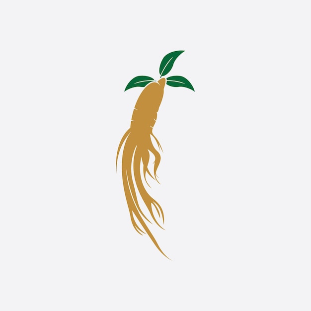 Logotipo de ginseng y plantilla vectorial