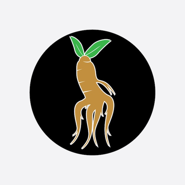 Logotipo de ginseng y plantilla vectorial