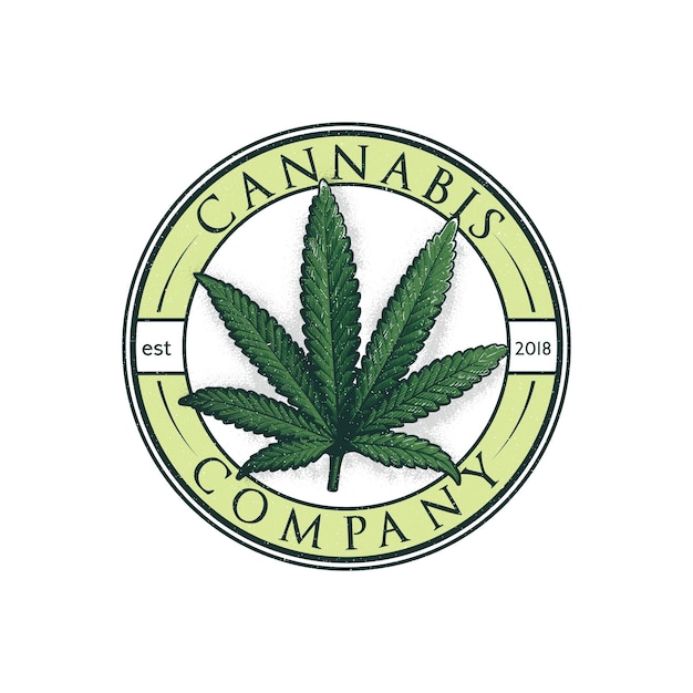 Logotipo grabado de hoja de cannabis de color etiqueta en estilo grunge vintage diseño gráfico ilustración vectorial