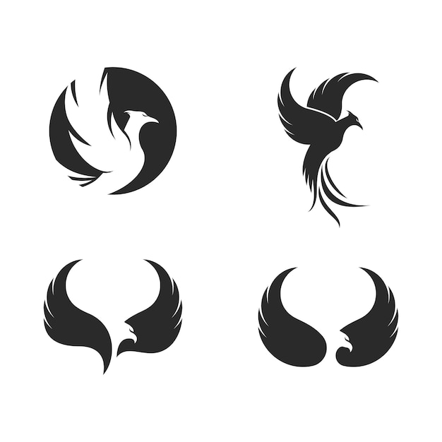 logotipo de halcón fénix