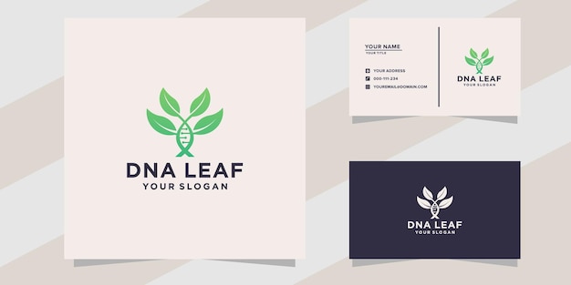 Vector logotipo de hoja de adn con plantilla de tarjeta de visita