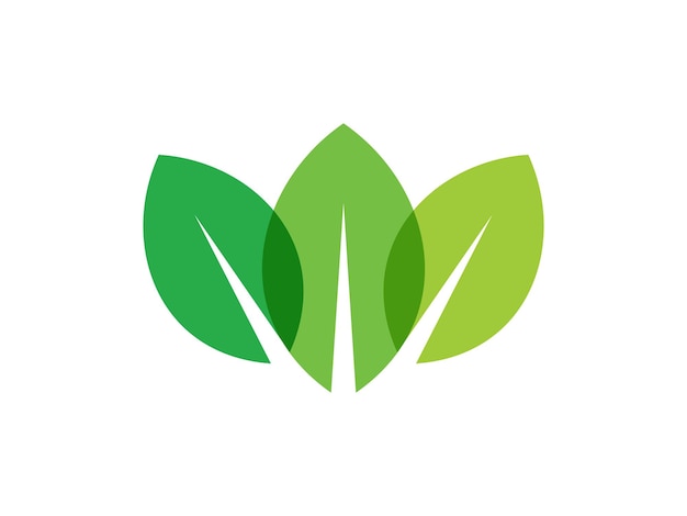 logotipo de hoja color transparente logotipo de hoja vector