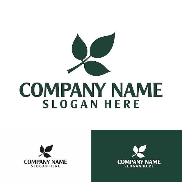 Logotipo de la hoja logotipo del spa logotipo de la belleza natural logotipo
