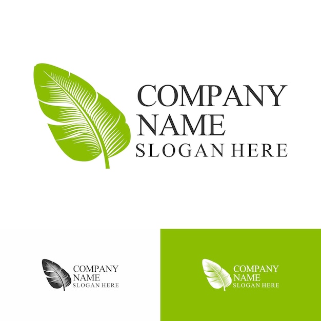 Logotipo de la hoja logotipo del spa logotipo de la belleza natural logotipo