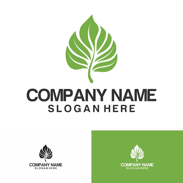 Logotipo de la hoja logotipo del spa logotipo de la belleza natural logotipo