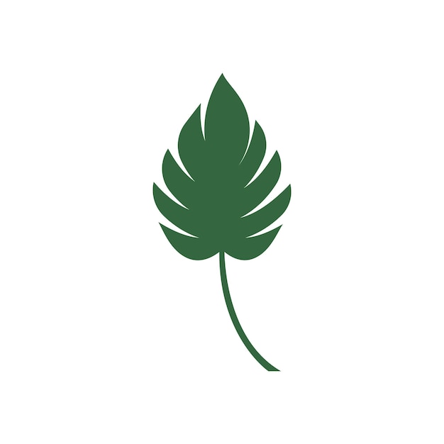 Logotipo de la hoja de Monstera