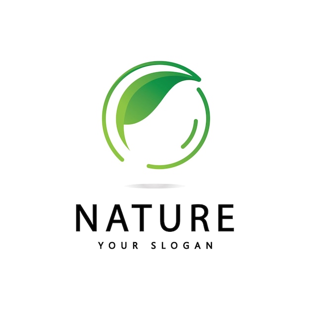 Logotipo de hoja verde Diseño de icono de naturaleza