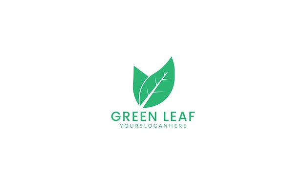 Vector logotipo de hoja verde e icono diseño vectorial plantilla de logotipo orgánico