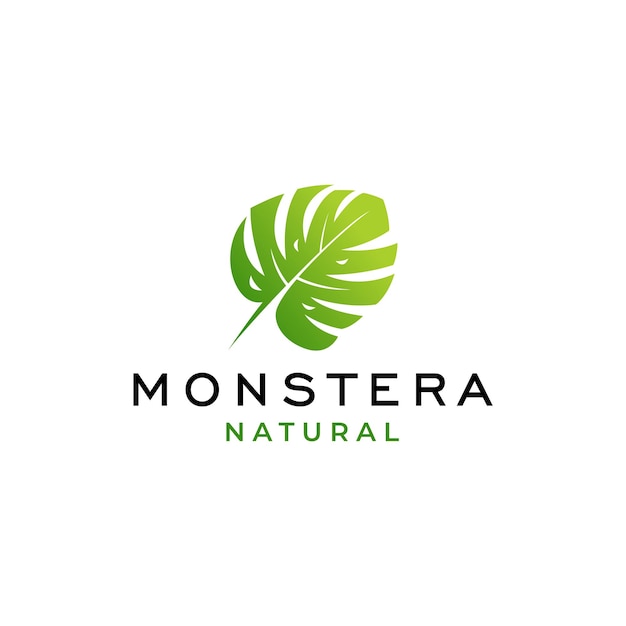 Logotipo de hojas de plantas tropicales. Diseño de logotipo de hojas de Monstera. Ilustraciones vectoriales