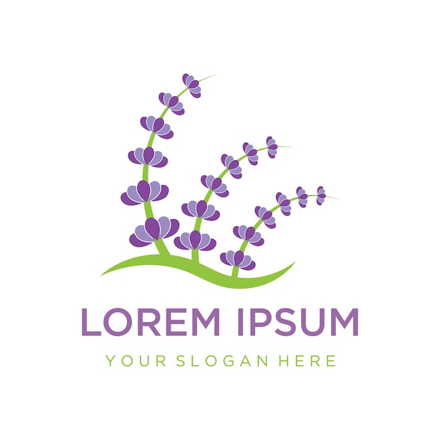 El logotipo de la icona de la flor de lavanda