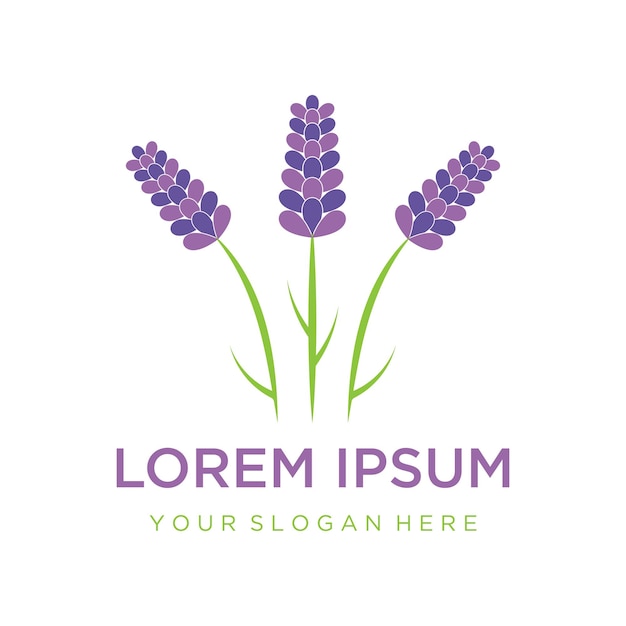 El logotipo de la icona de la flor de lavanda
