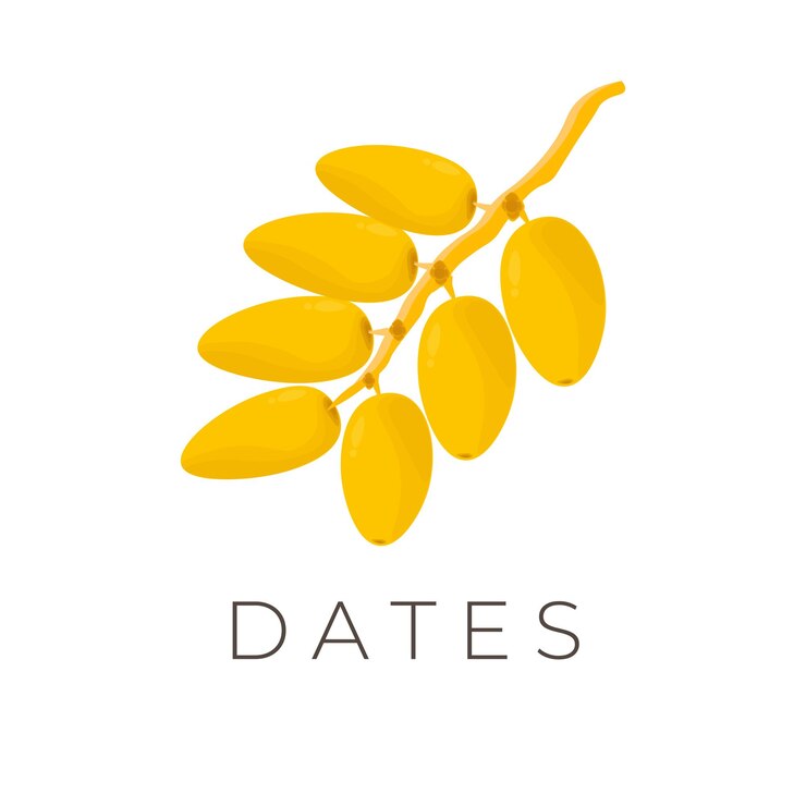 Logotipo de ilustración de fruta de fecha amarilla Khalal sukkari