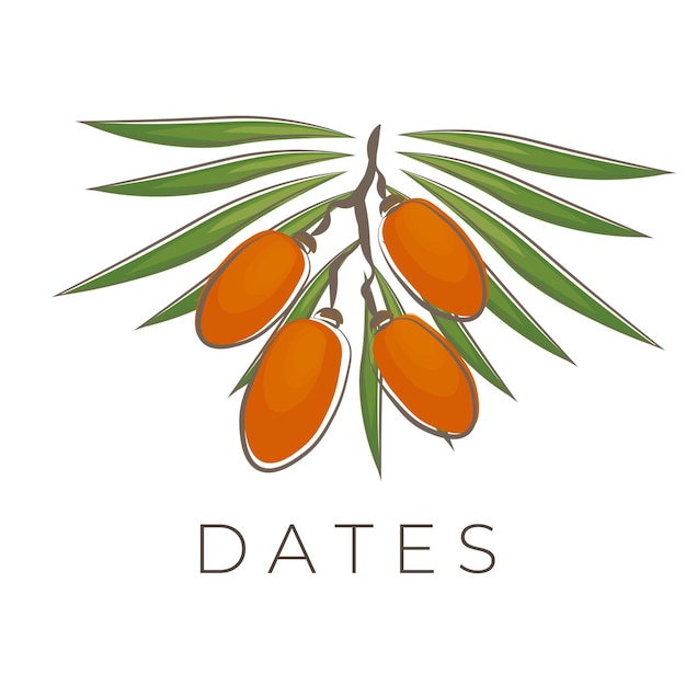 Logotipo de ilustración de fruta de fecha con hoja