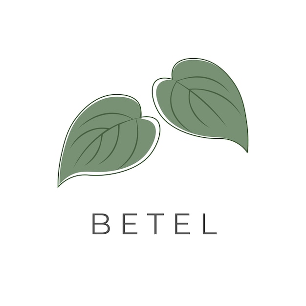 Logotipo de ilustración de hoja de betel verde