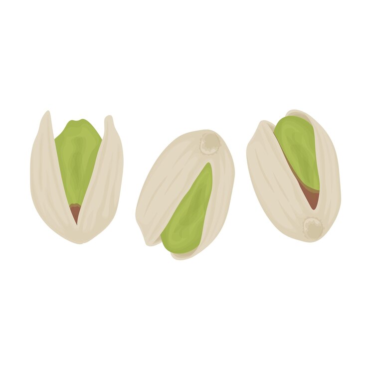 Logotipo De Ilustración De Pistachos Sabrosos Y Deliciosos