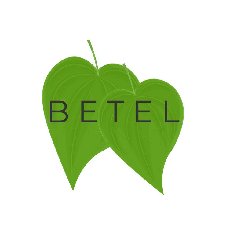 Logotipo de ilustración realista de hoja de betel