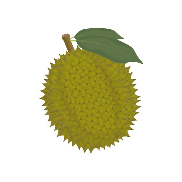 Vector logotipo de ilustración del vector aislado de la fruta de durian