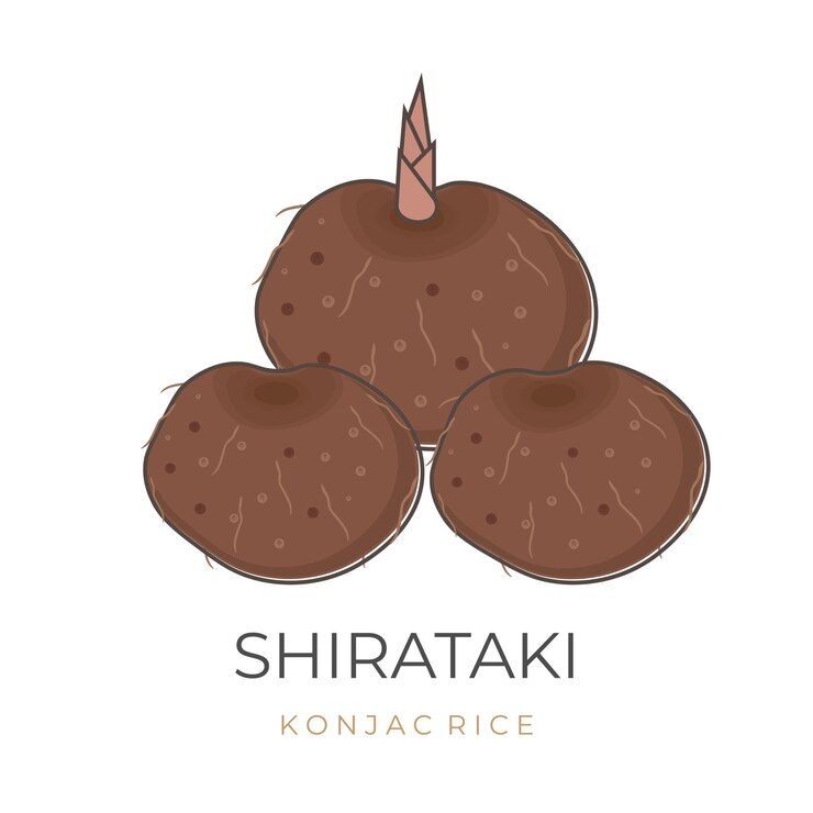El logotipo de la ilustración del vector del tubérculo de konjac o del tubérculos de porang