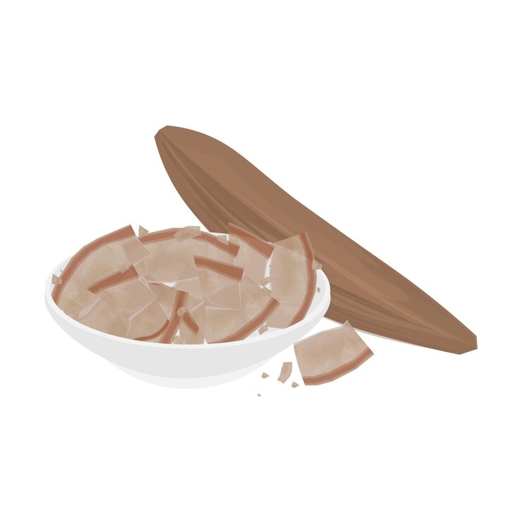 Logotipo de ilustración vectorial Clip art de atún ahumado con Katsuobushi