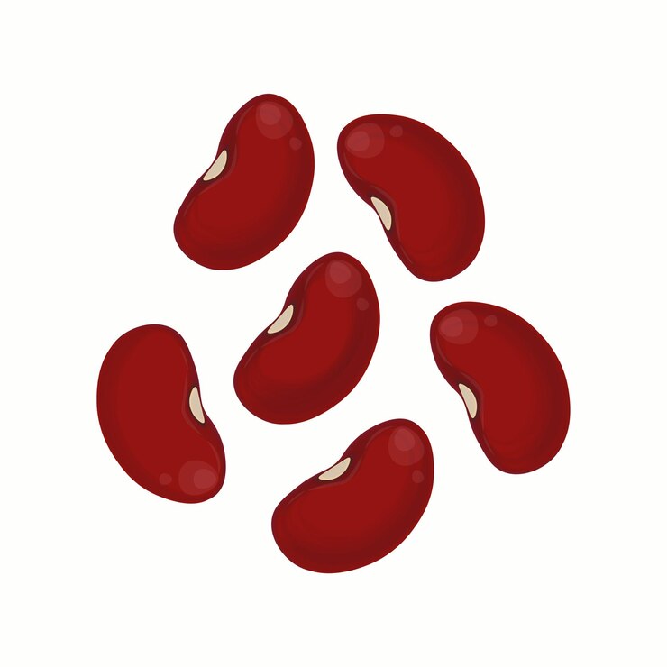 Logotipo de ilustración vectorial Clip art de frijoles rojos aislados