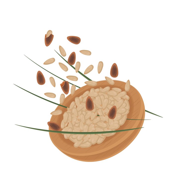Logotipo de ilustración vectorial Clip art nueces de pino levitación