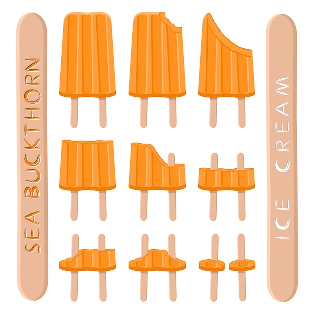 Vector logotipo de ilustración vectorial para helado de espino amarillo natural en palo patrón de helado que consiste en helado dulce frío conjunto sabroso postre helado helados de bayas frescas de espino amarillo en palos