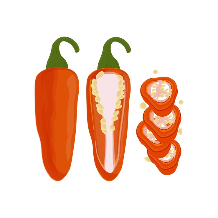 El logotipo de la ilustración vectorial de los pimientos jalapeno rojos