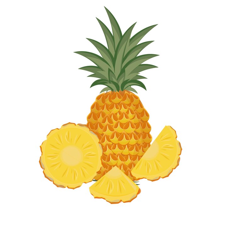 Logotipo de ilustración vectorial de rebanada de fruta de piña fresca