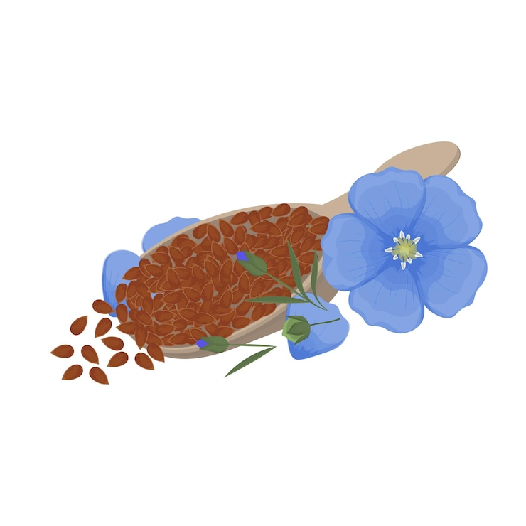 Vector logotipo de ilustración vectorial semillas de lino súper alimento