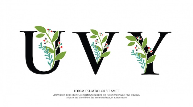 Logotipo inicial de la letra uvy con forma de flor