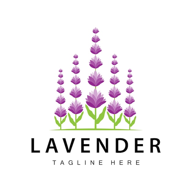 Logotipo de lavanda diseño simple vector planta cosmética color púrpura y aromaterapia flor de lavanda