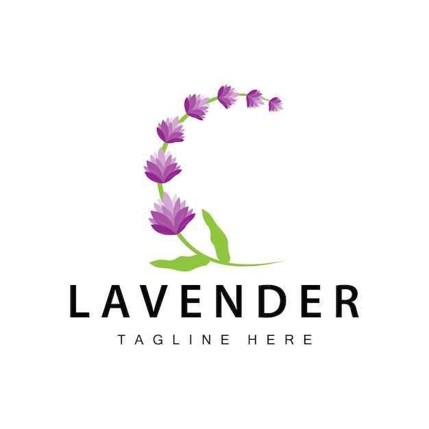 Vector logotipo de lavanda diseño simple vector planta cosmética color púrpura y aromaterapia plantilla de jardín de flores de lavanda