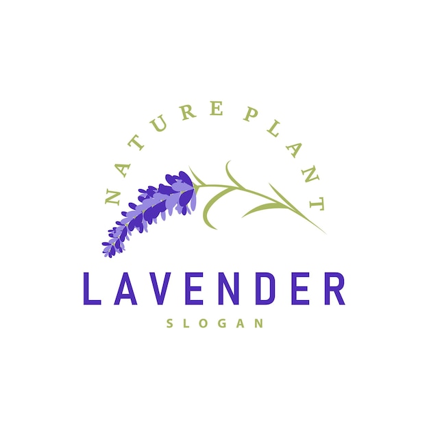 Logotipo de lavanda Elegante planta de flores púrpura Ilustración de diseño de ornamentos florales
