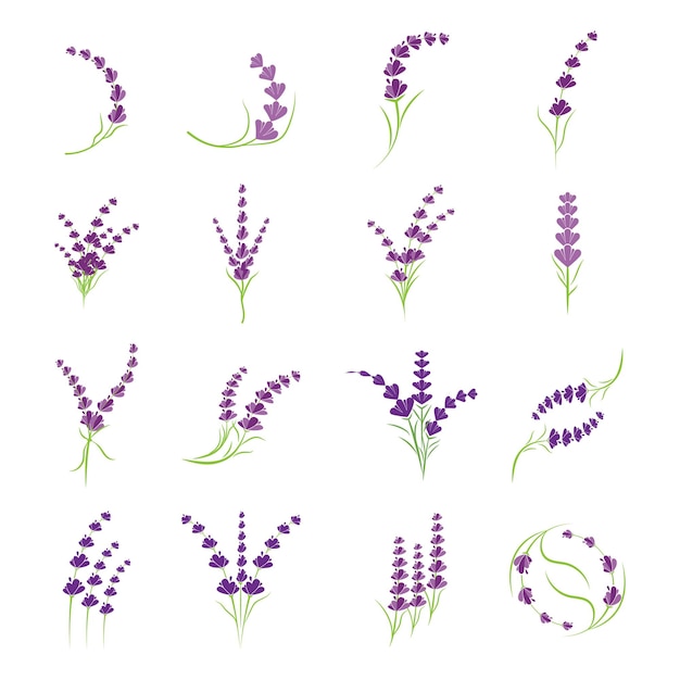 Logotipo de lavanda plantilla de símbolo vectorial de la naturaleza