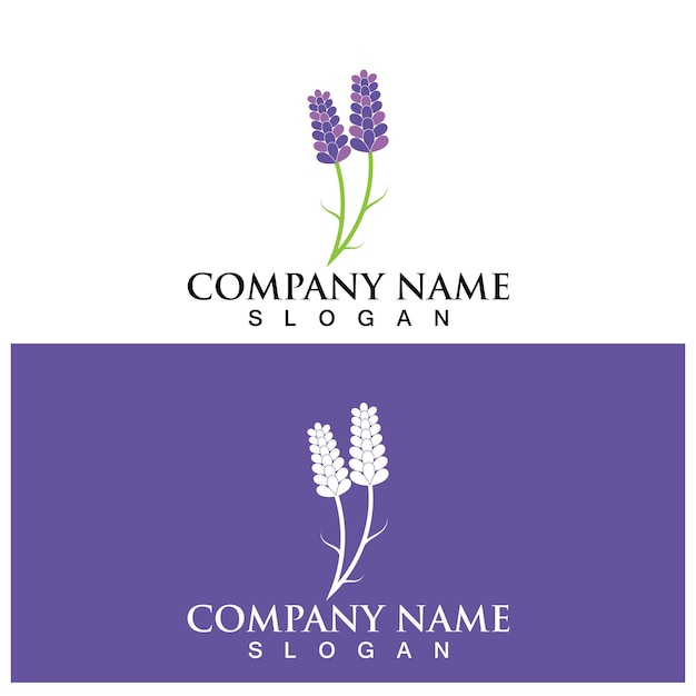 Logotipo de lavanda y plantilla vectorial