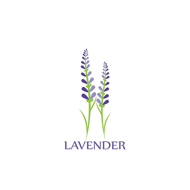 Logotipo de lavanda y plantilla vectorial